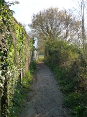 The End of the Path