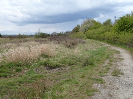 Open Ground