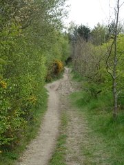 The Avenue