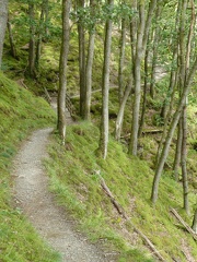 Brundholme Wood