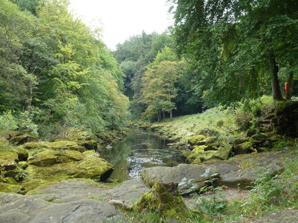 P1180731.JPG